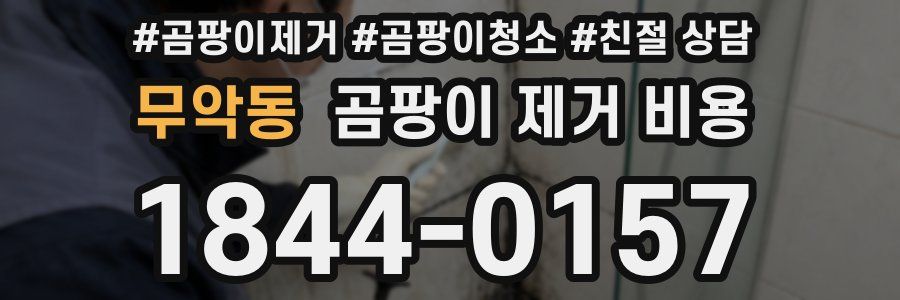 무악동 곰팡이 제거 비용