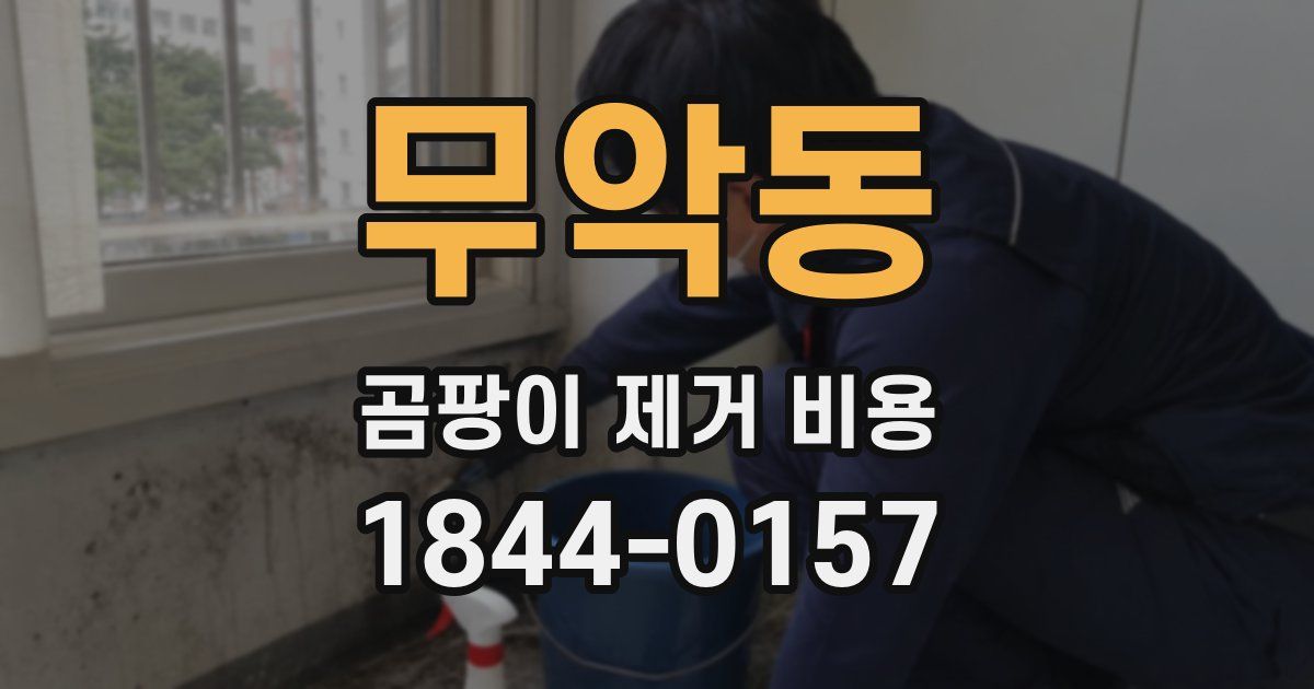 무악동 곰팡이 제거 비용