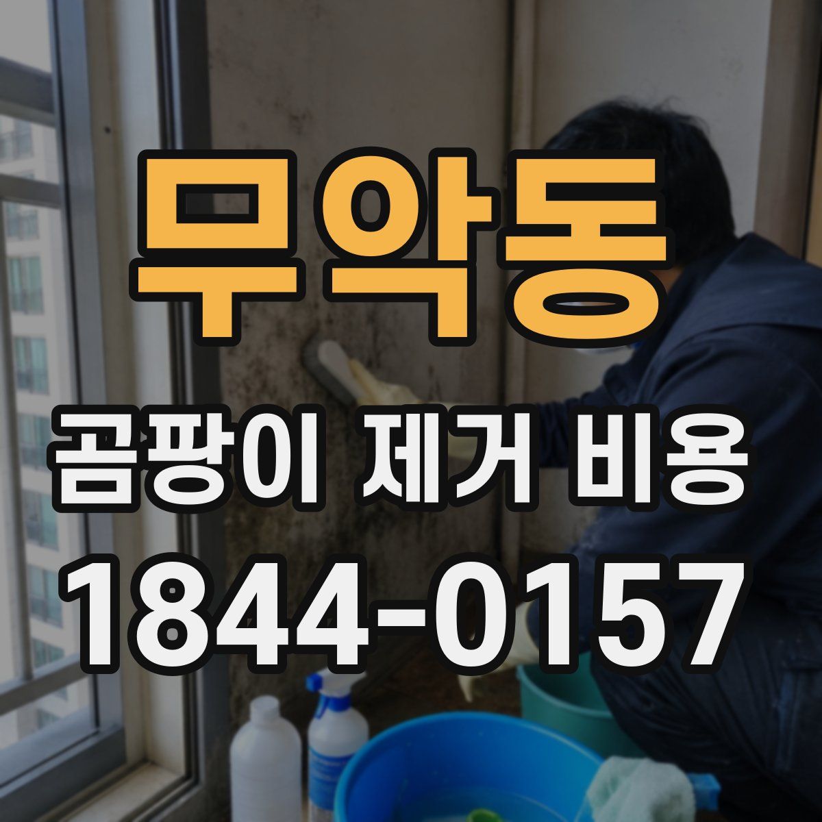 무악동 곰팡이 제거 비용