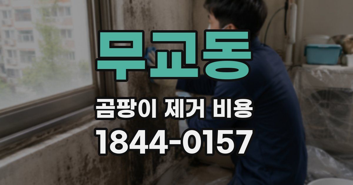 무교동 곰팡이 제거 비용