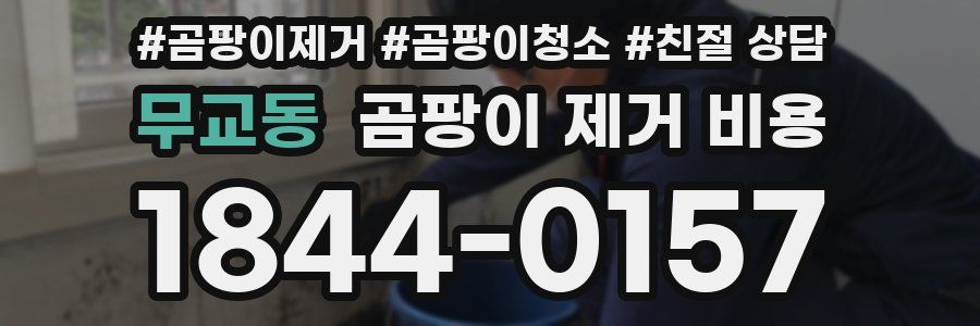무교동 곰팡이 제거 비용