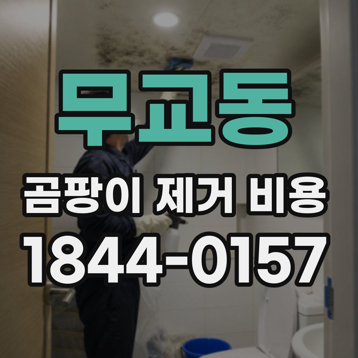 무교동 곰팡이 제거 비용