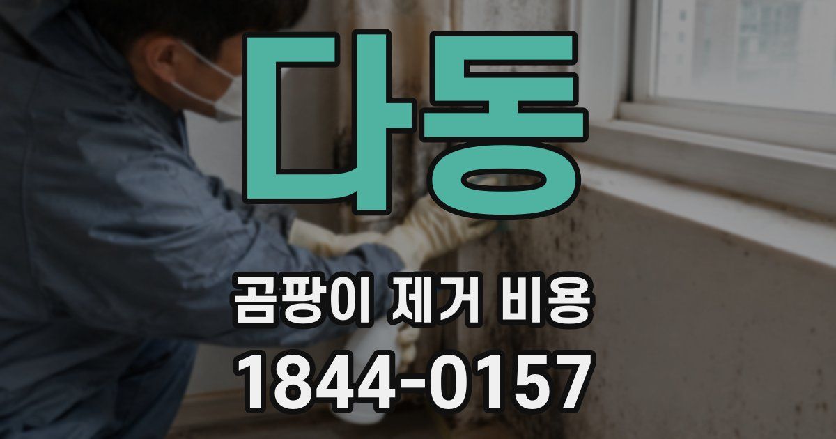 다동 곰팡이 제거 비용