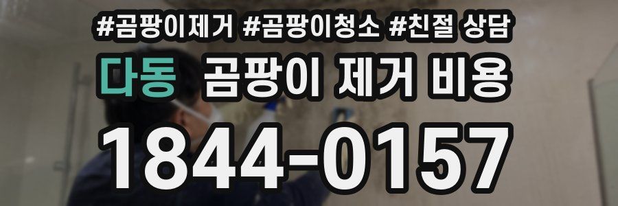 다동 곰팡이 제거 비용