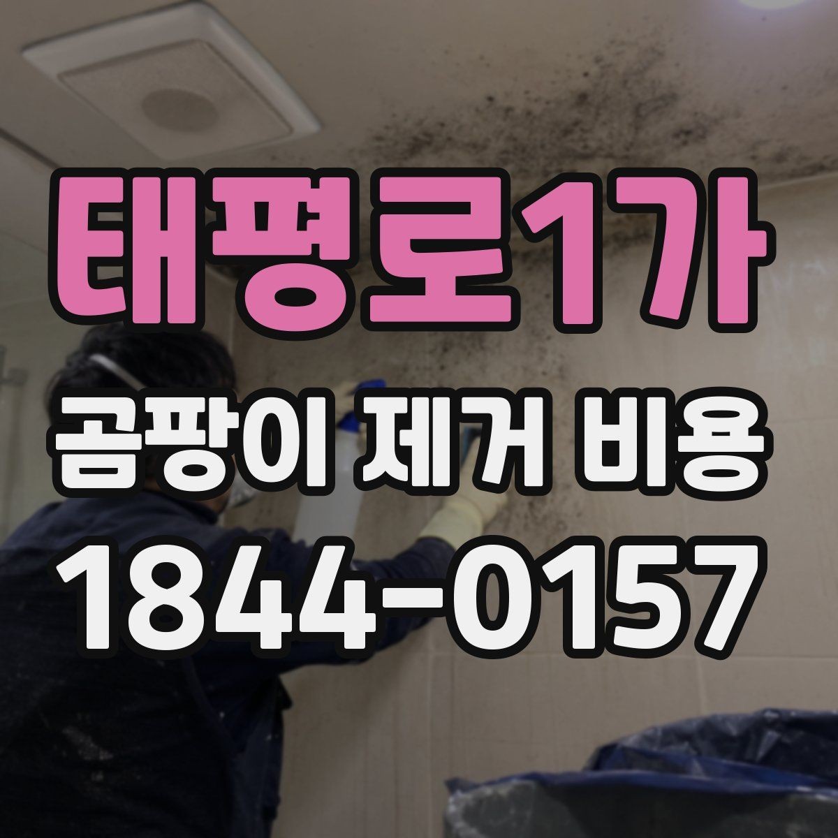 태평로1가 곰팡이 제거 비용 견적서에서 확인할 세부 내역