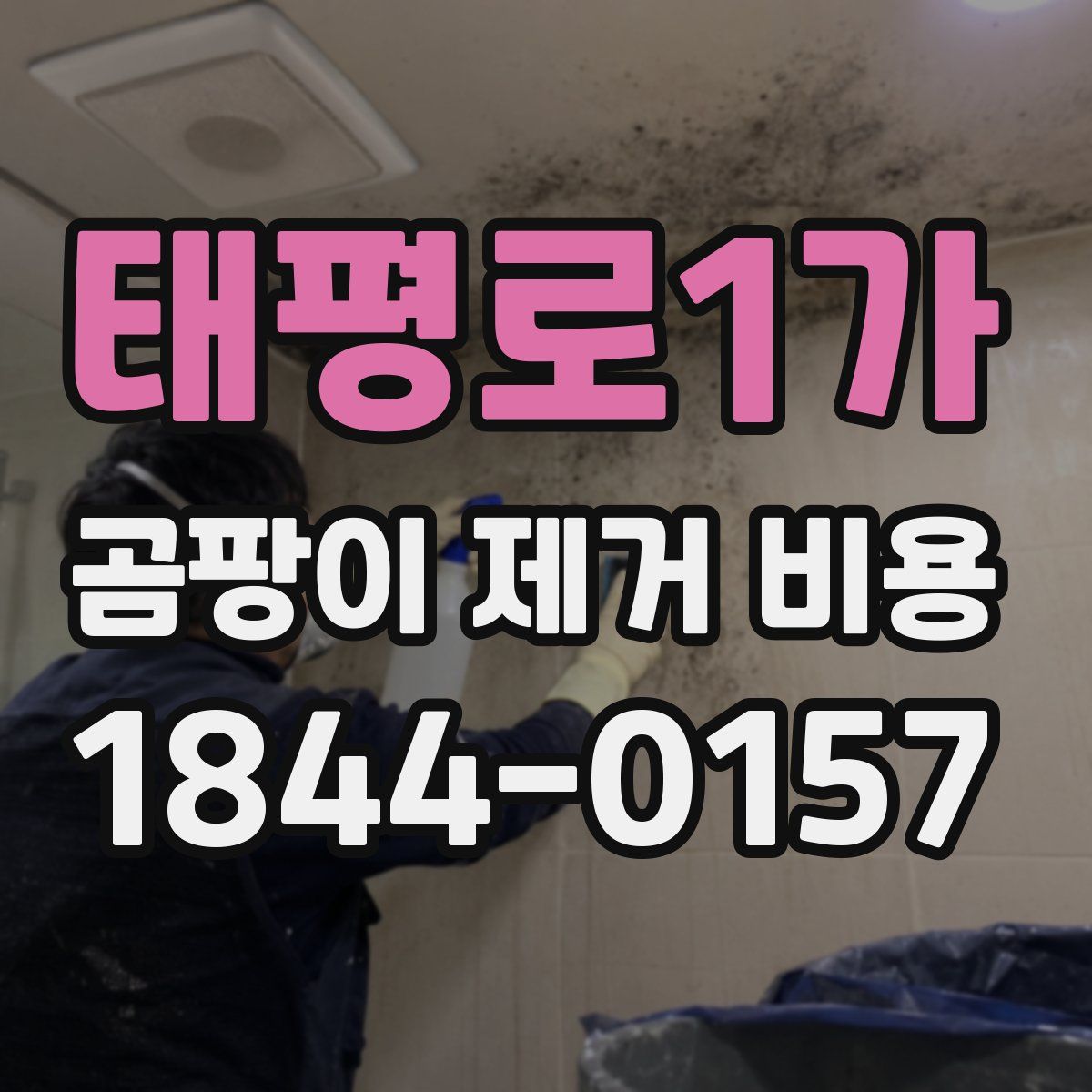 태평로1가 곰팡이 제거 비용