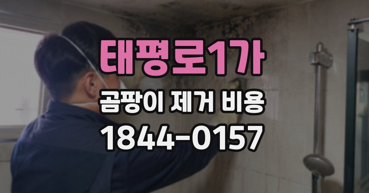 태평로1가 곰팡이 제거 비용