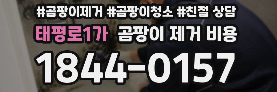태평로1가 곰팡이 제거 비용