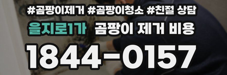 을지로1가 곰팡이 제거 비용