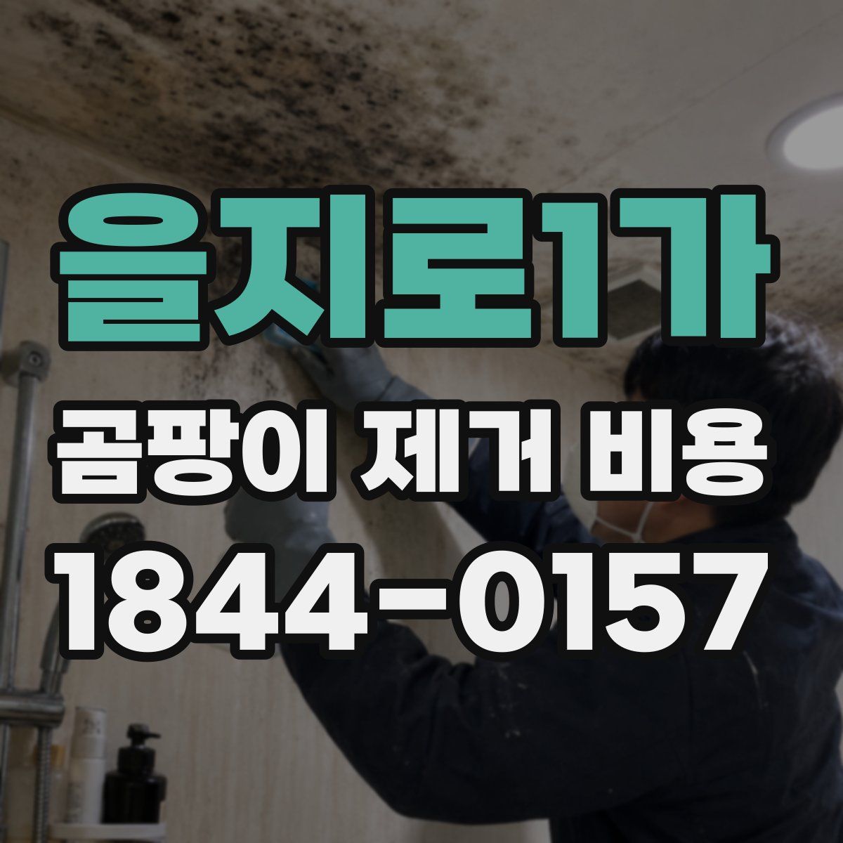을지로1가 곰팡이 제거 비용
