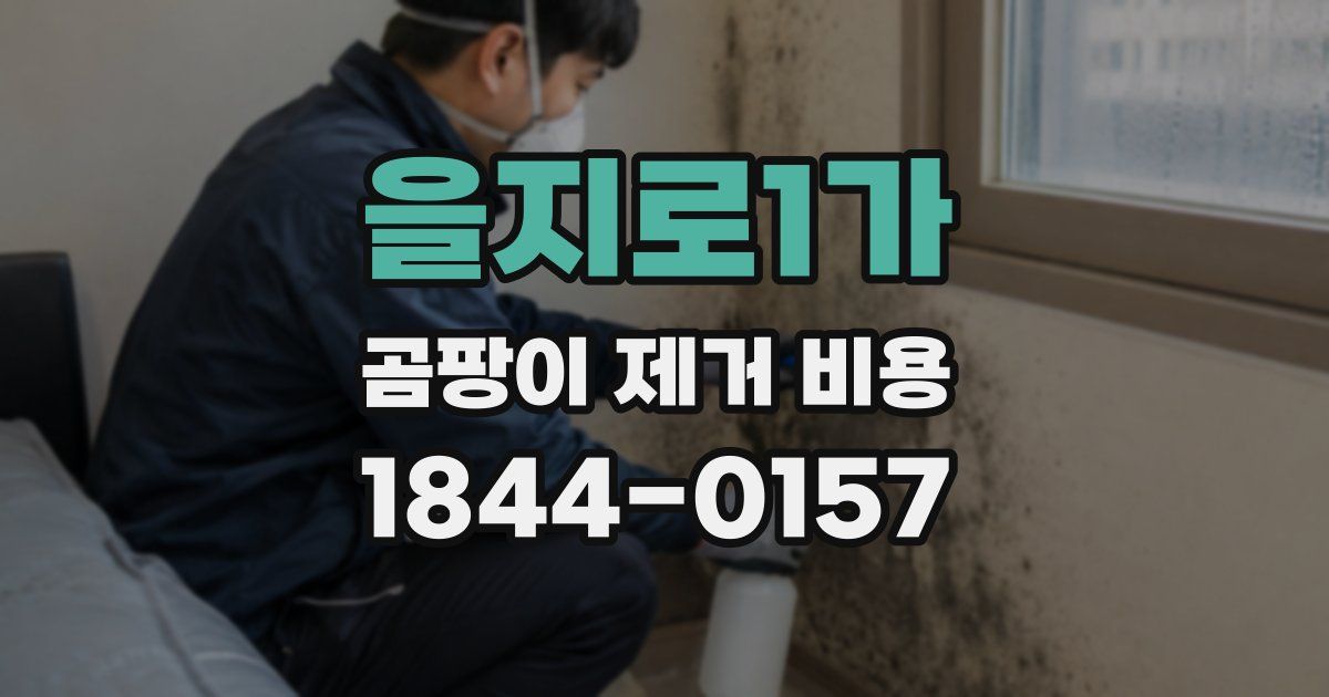을지로1가 곰팡이 제거 비용