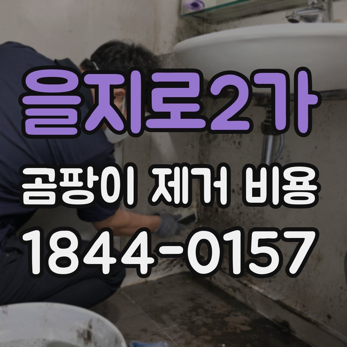 을지로2가 곰팡이 제거 비용 작업 범위에 따라 달라지는 항목들