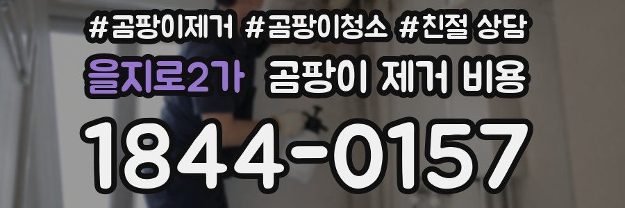 을지로2가 곰팡이 제거 비용