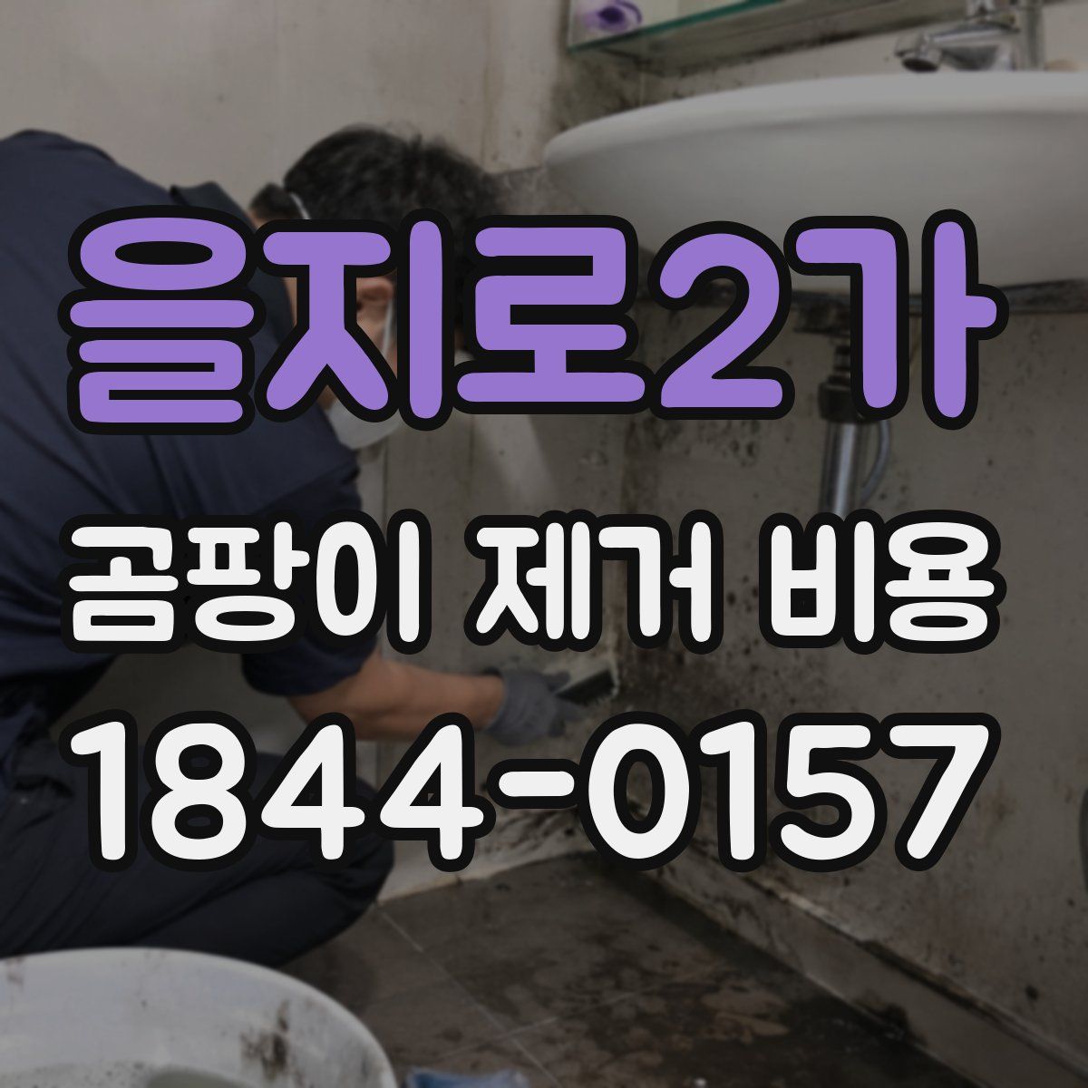 을지로2가 곰팡이 제거 비용