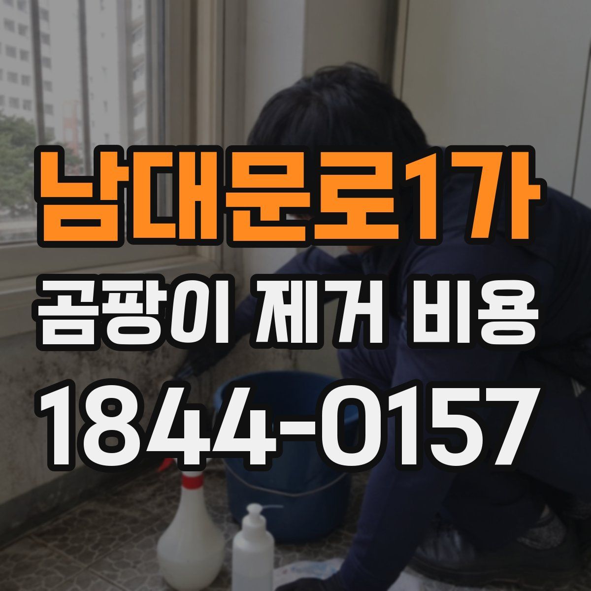 남대문로1가 곰팡이 제거 비용