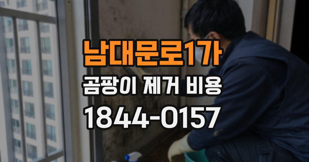 남대문로1가 곰팡이 제거 비용