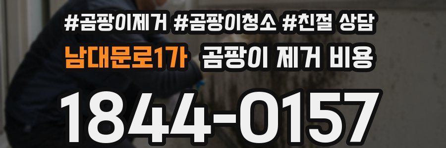 남대문로1가 곰팡이 제거 비용