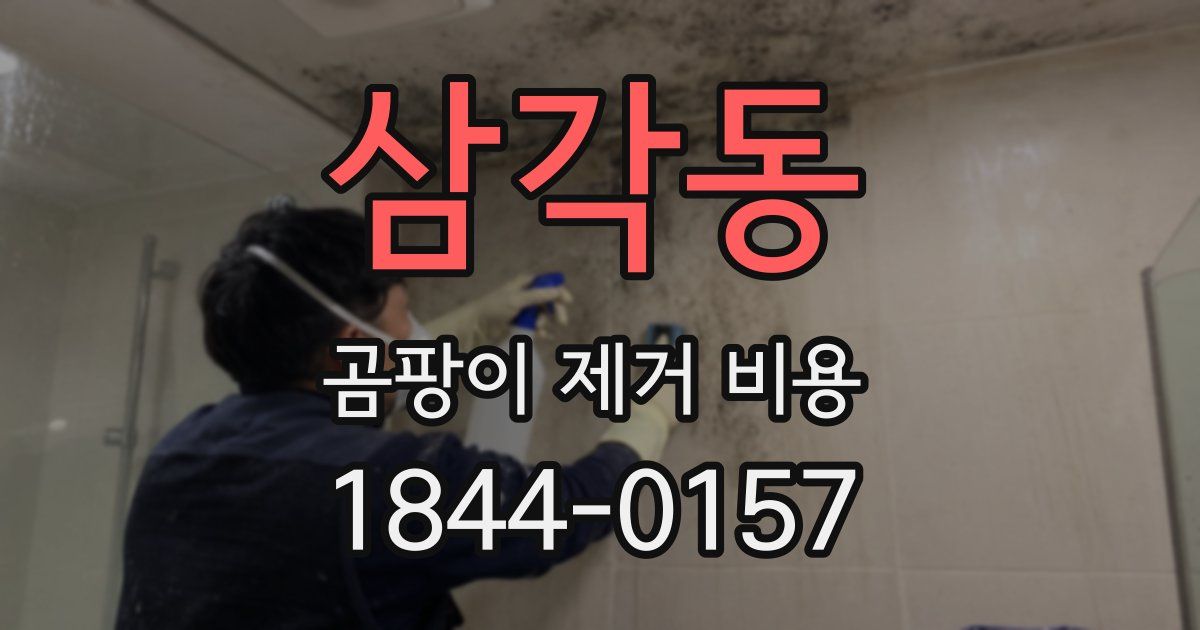 삼각동 곰팡이 제거 비용