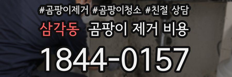 삼각동 곰팡이 제거 비용