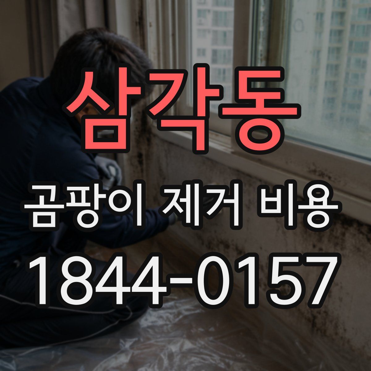 삼각동 곰팡이 제거 비용