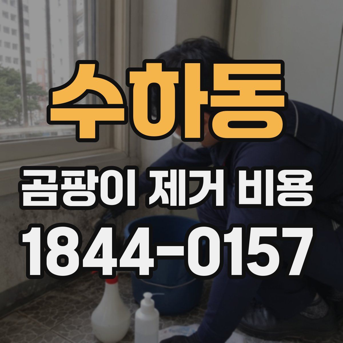 수하동 곰팡이 제거 비용