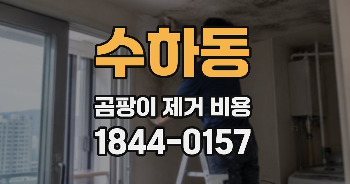 수하동 곰팡이 제거 비용