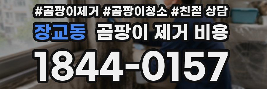 장교동 곰팡이 제거 비용