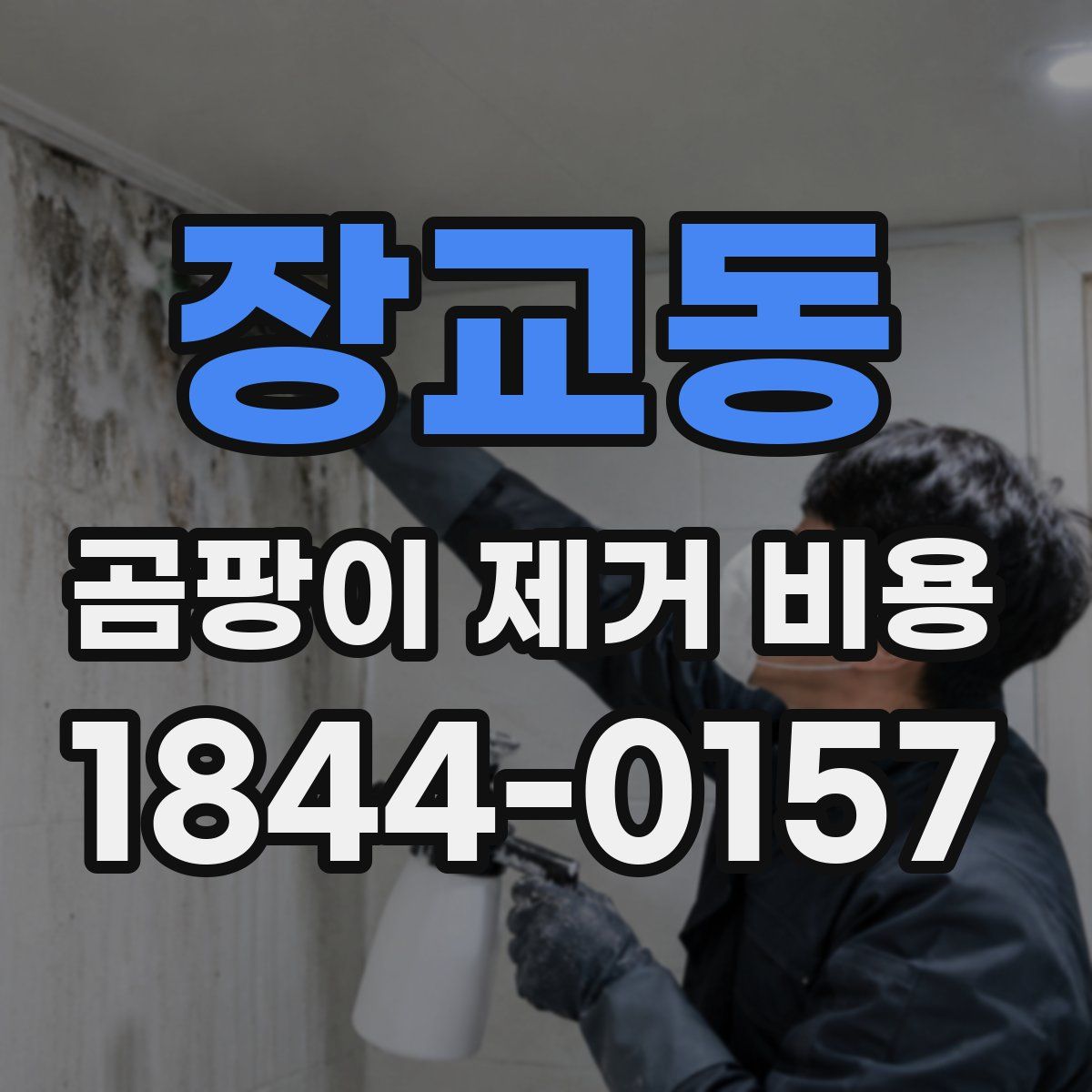 장교동 곰팡이 제거 비용