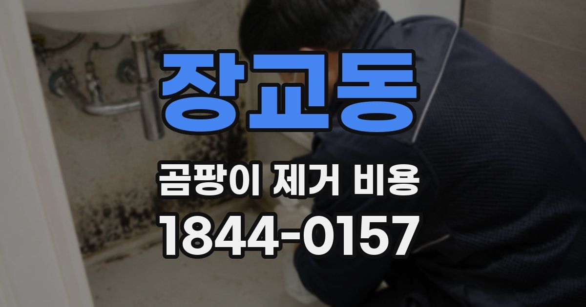 장교동 곰팡이 제거 비용
