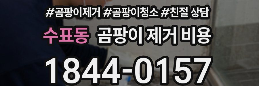 수표동 곰팡이 제거 비용