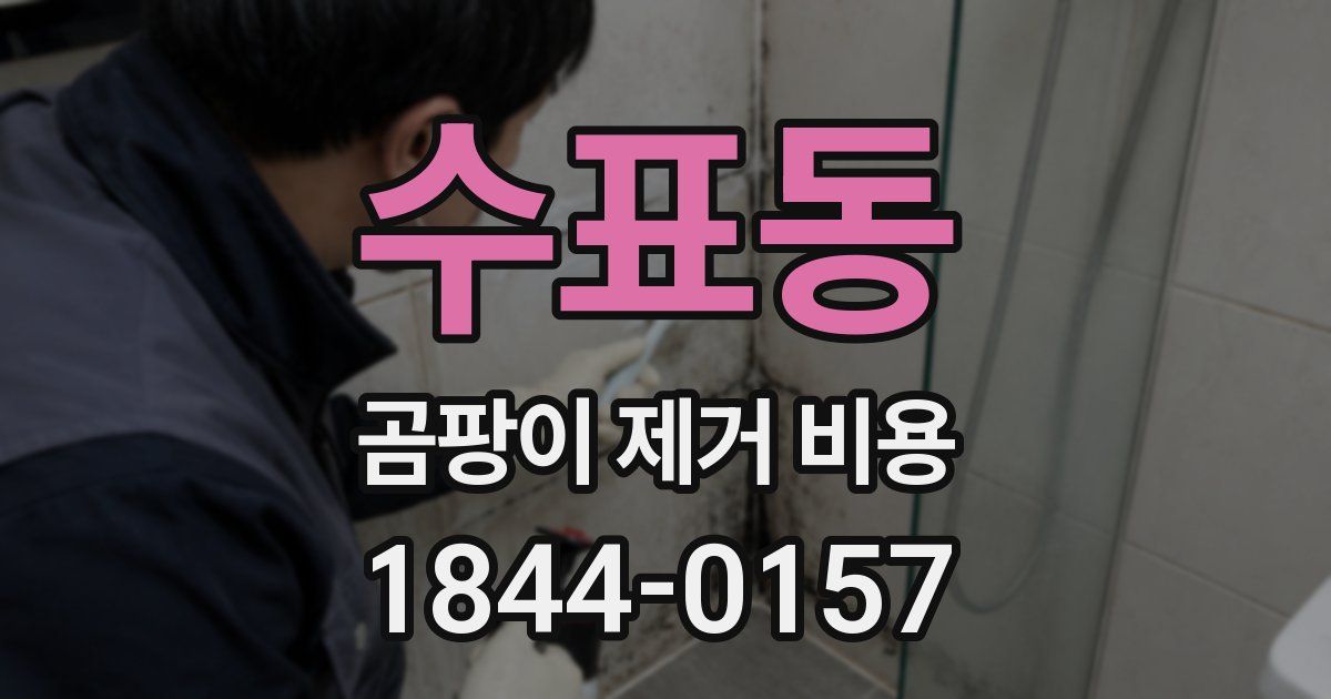 수표동 곰팡이 제거 비용