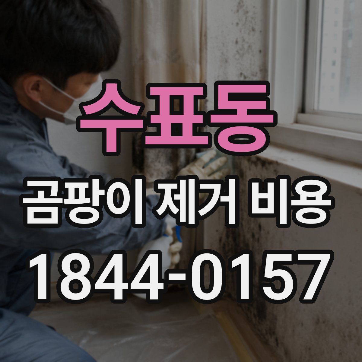 수표동 곰팡이 제거 비용