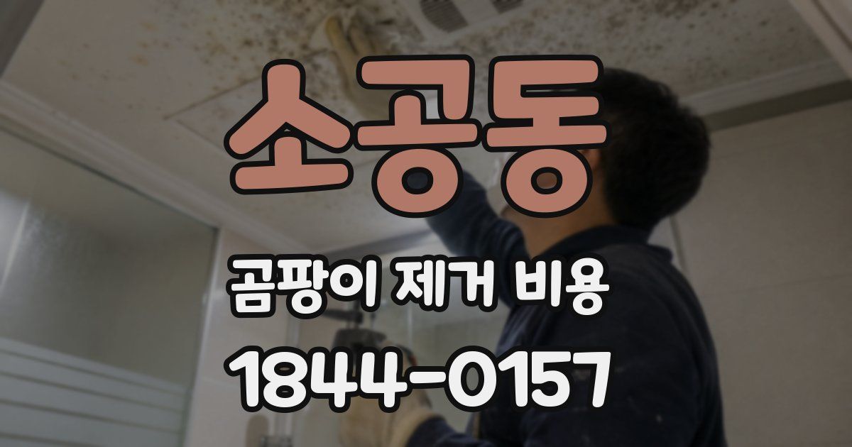 소공동 곰팡이 제거 비용
