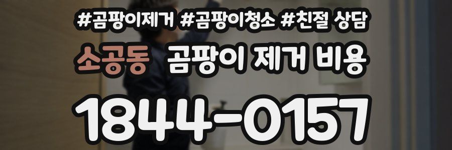 소공동 곰팡이 제거 비용