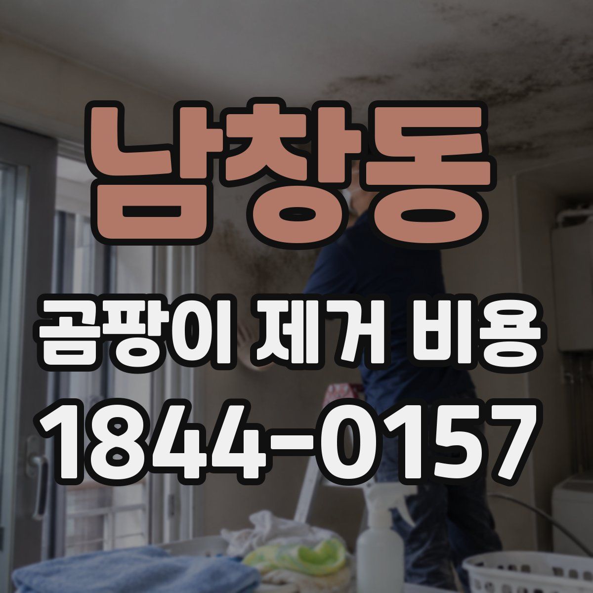 남창동 곰팡이 제거 비용
