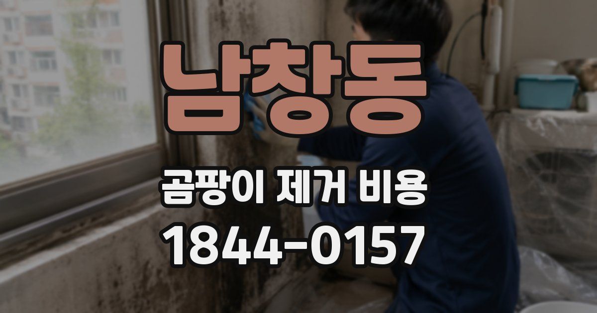 남창동 곰팡이 제거 비용