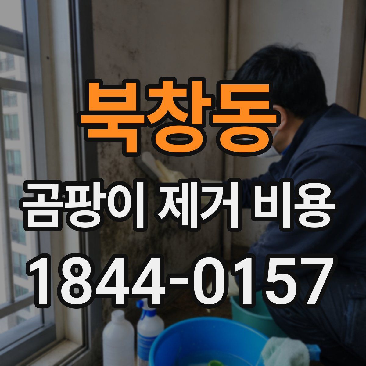 북창동 곰팡이 제거 비용