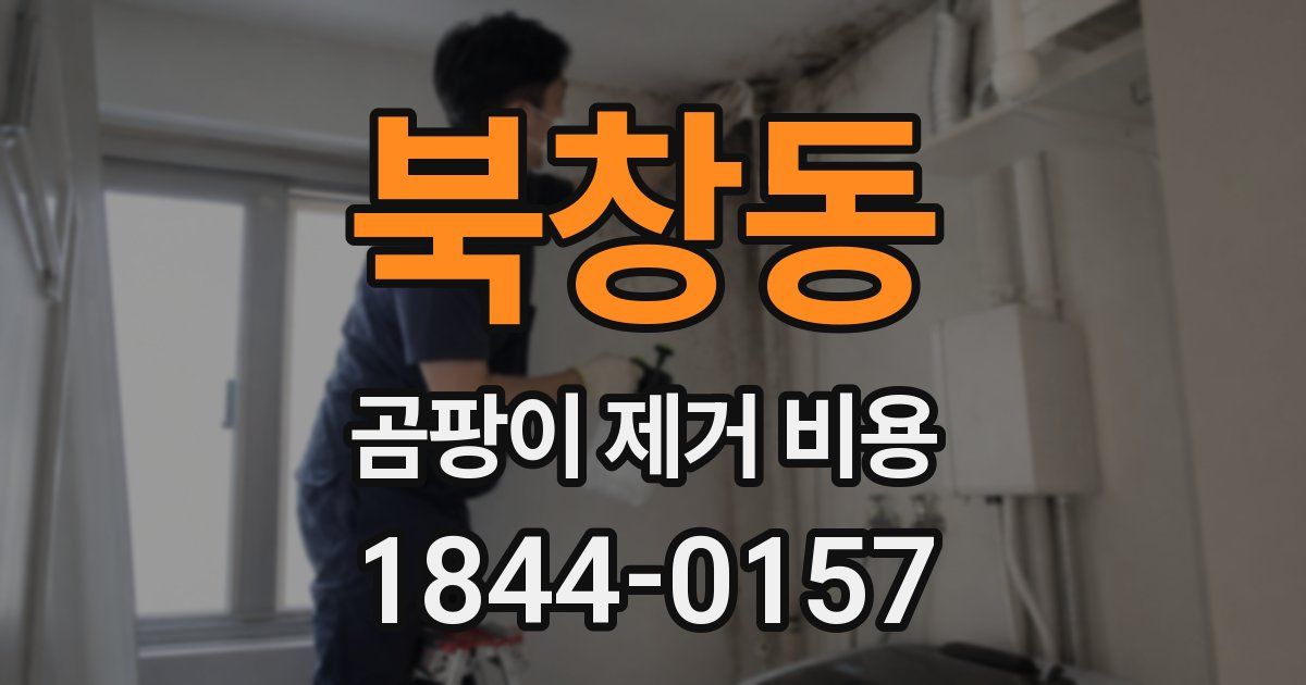 북창동 곰팡이 제거 비용