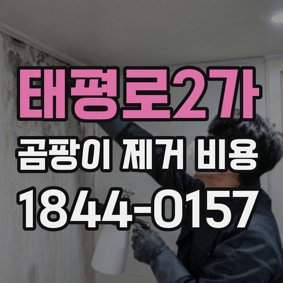 태평로2가 곰팡이 제거 비용