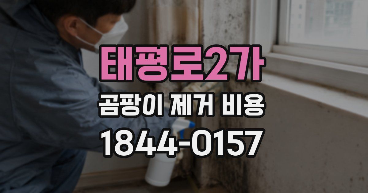 태평로2가 곰팡이 제거 비용