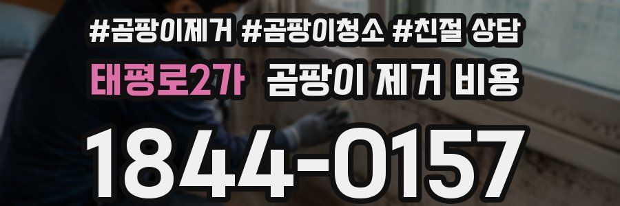 태평로2가 곰팡이 제거 비용