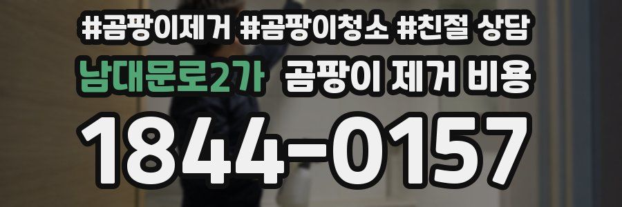 남대문로2가 곰팡이 제거 비용