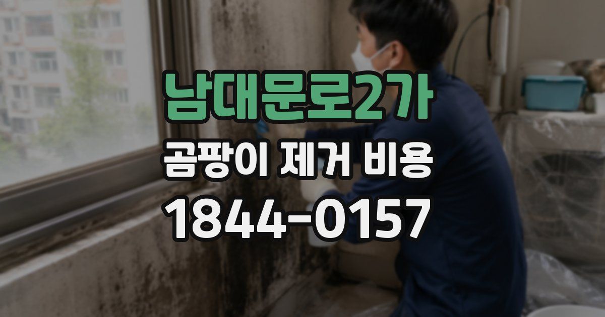 남대문로2가 곰팡이 제거 비용