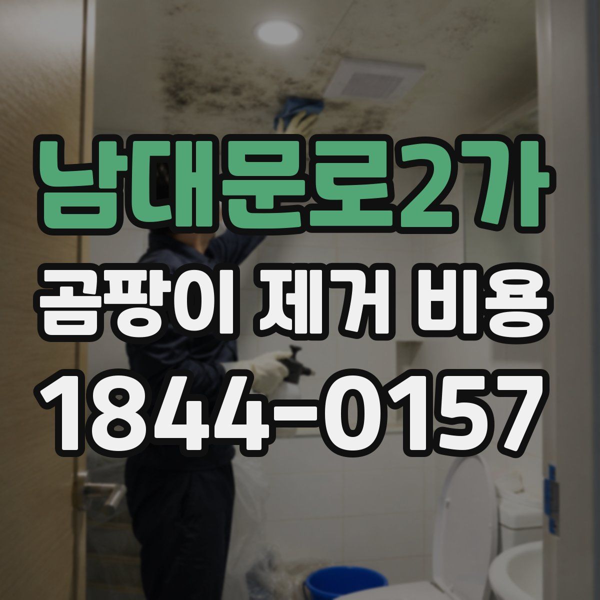 남대문로2가 곰팡이 제거 비용