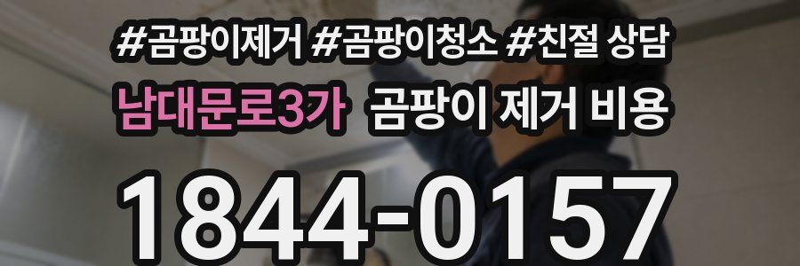 남대문로3가 곰팡이 제거 비용
