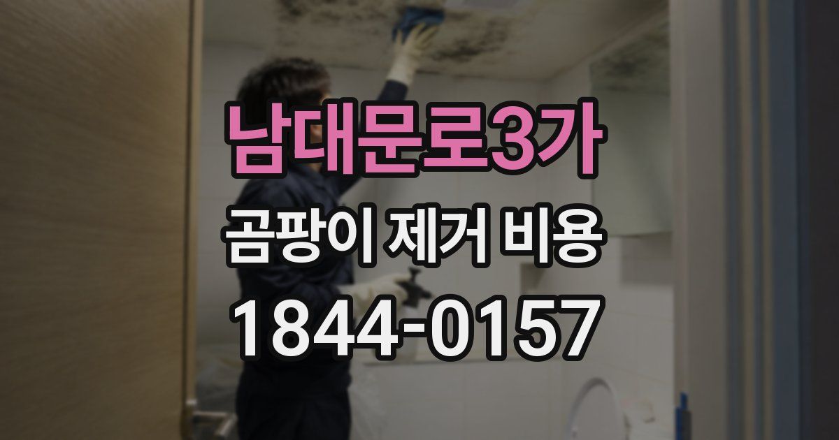 남대문로3가 곰팡이 제거 비용