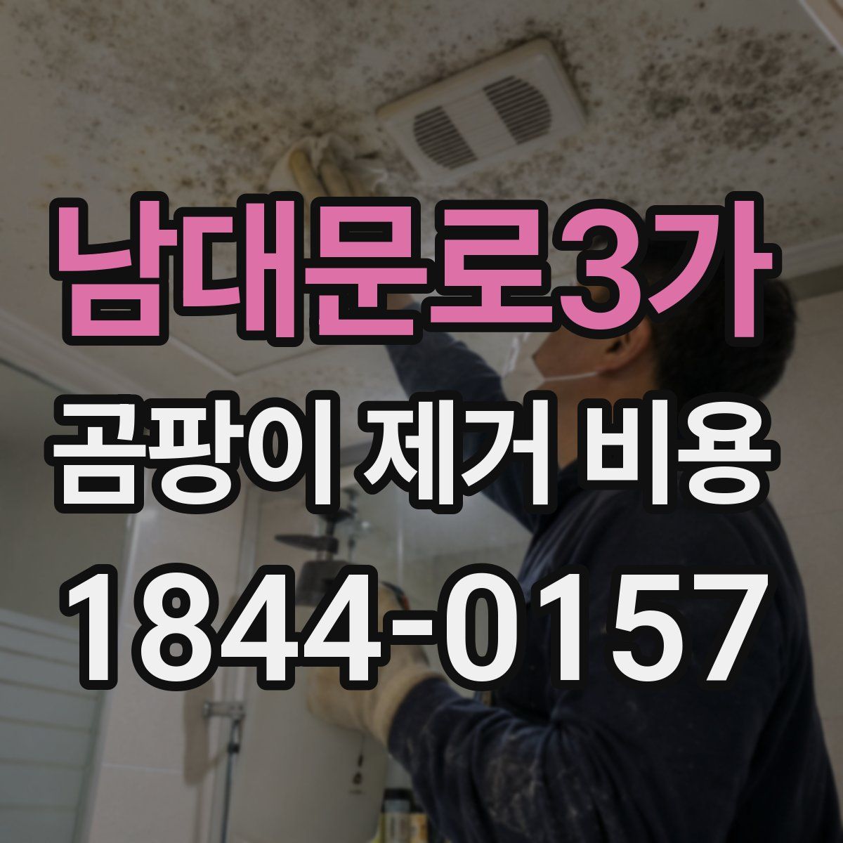 남대문로3가 곰팡이 제거 비용