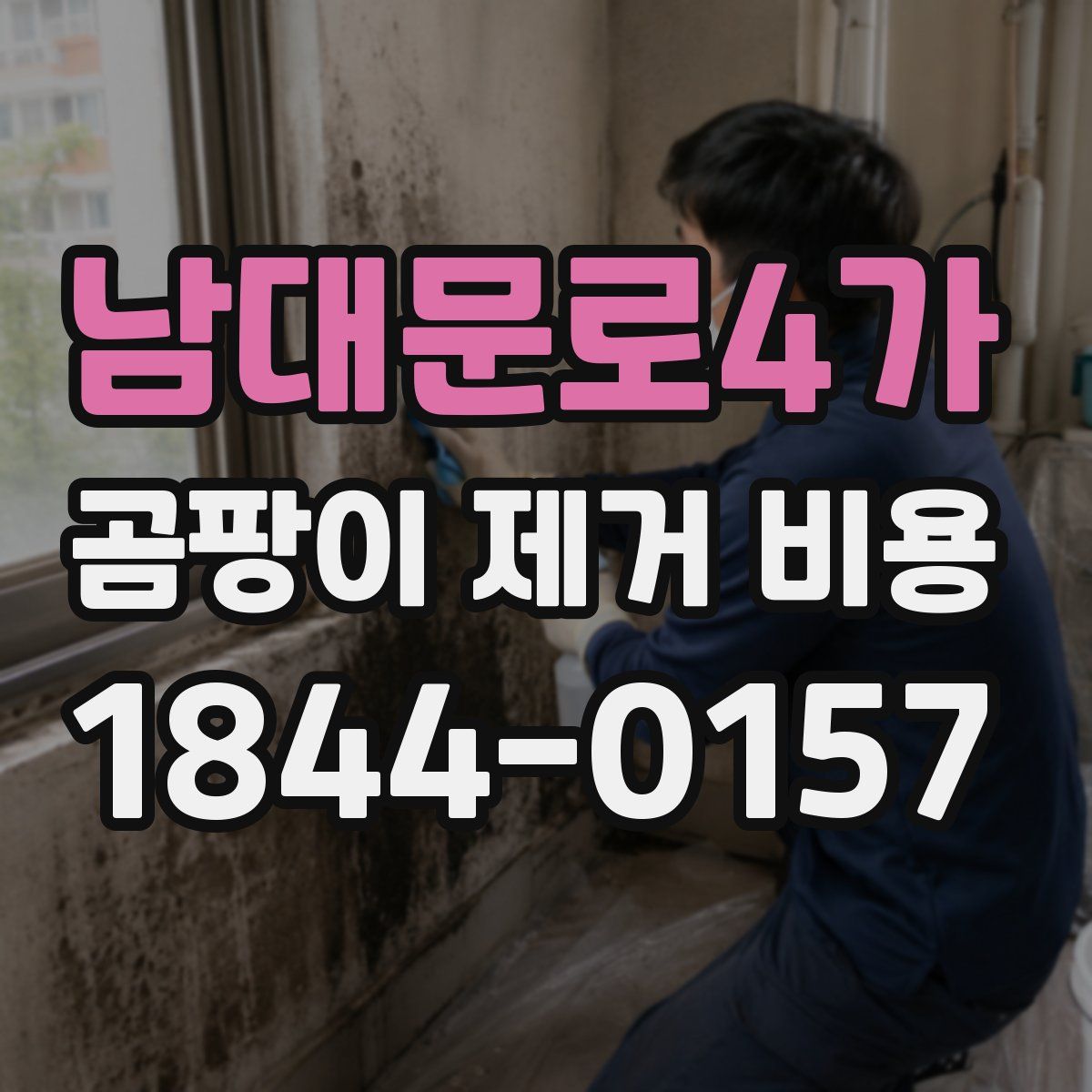 남대문로4가 곰팡이 제거 비용