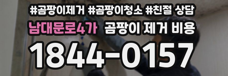 남대문로4가 곰팡이 제거 비용
