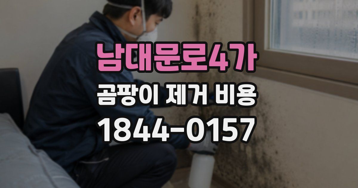 남대문로4가 곰팡이 제거 비용